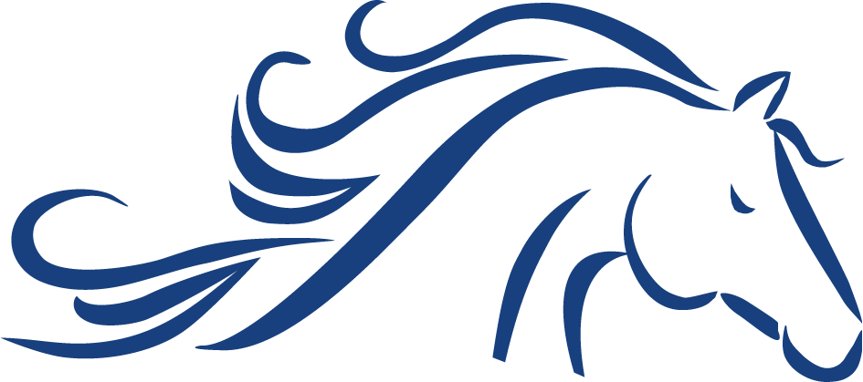 HAPPIE VOLTIGE LOGO SANS TEXTE