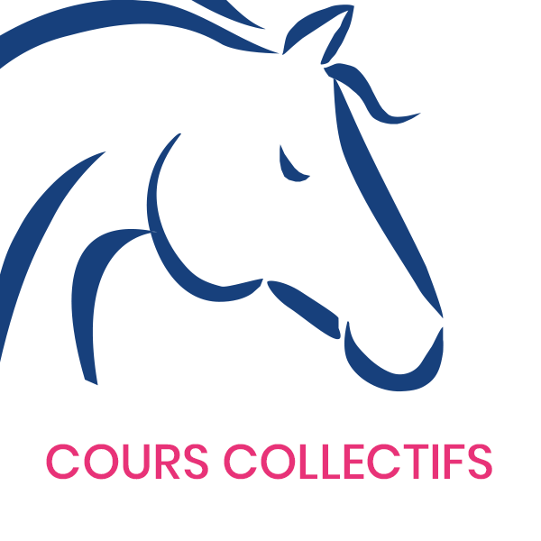 Cours collectifs