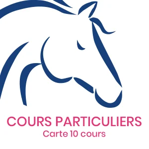 Cours particuliers x10